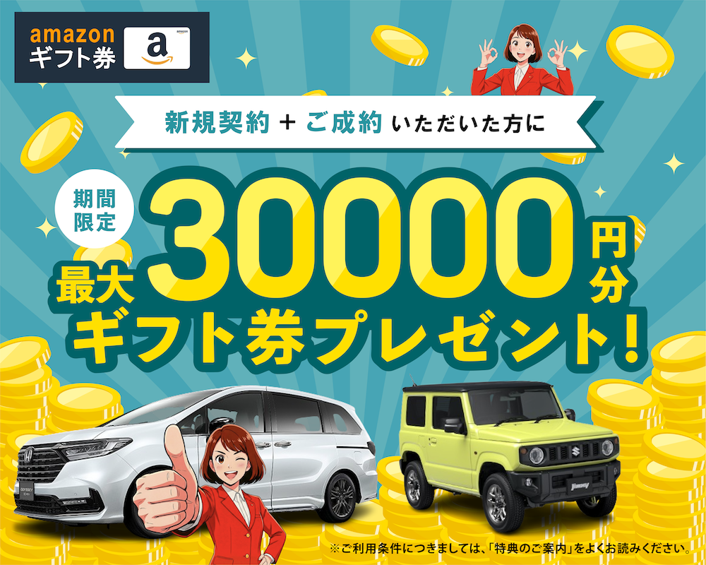 モビ市場カーリースの特典